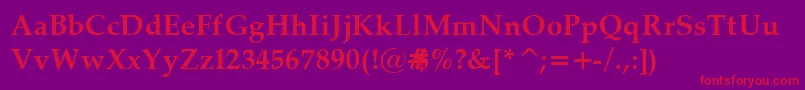 PalatinoBold Font – Red Fonts on Purple Background