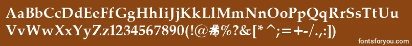 PalatinoBold Font – White Fonts on Brown Background