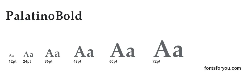 PalatinoBold Font Sizes