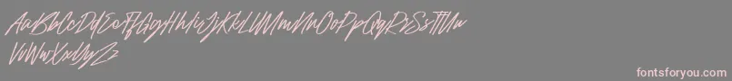 Raidden Italic Font – Pink Fonts on Gray Background