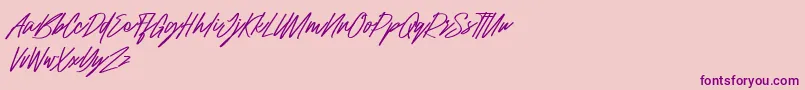 Raidden Italic Font – Purple Fonts on Pink Background