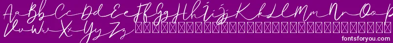 Ralisto Font – White Fonts on Purple Background