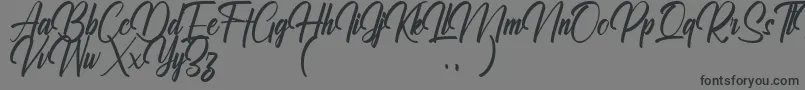 Ralliankara Personal Use Only Font – Black Fonts on Gray Background