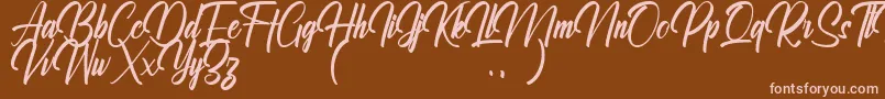 Ralliankara Personal Use Only Font – Pink Fonts on Brown Background