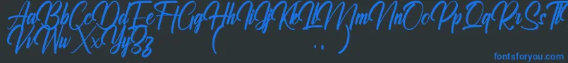 Ralliankara Personal Use Only Font – Blue Fonts on Black Background