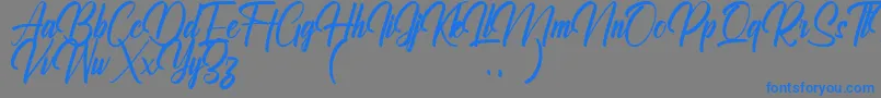 Ralliankara Personal Use Only Font – Blue Fonts on Gray Background