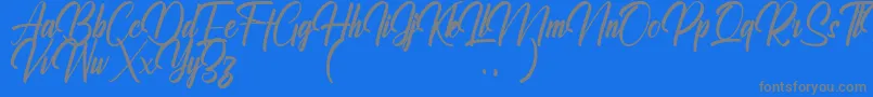 Ralliankara Personal Use Only Font – Gray Fonts on Blue Background