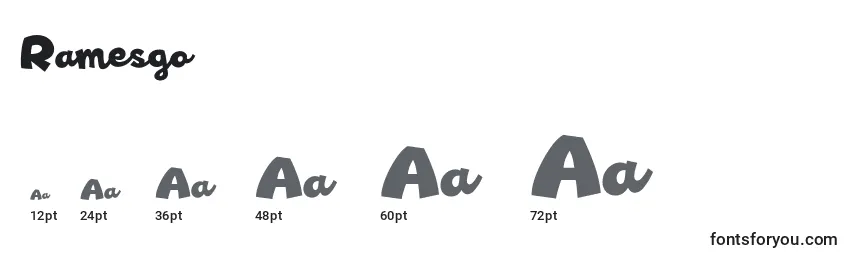 Размеры шрифта Ramesgo