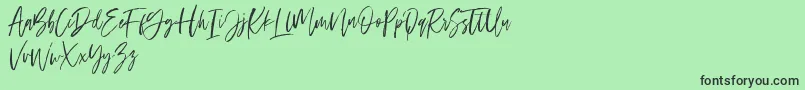 Ramland Font – Black Fonts on Green Background
