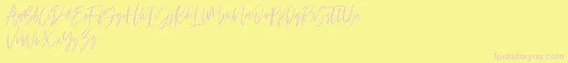 Ramland Font – Pink Fonts on Yellow Background