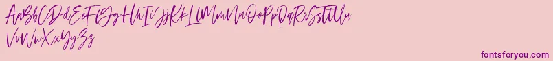 Ramland Font – Purple Fonts on Pink Background