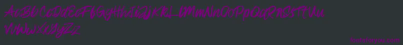 Rampage Kid-Schriftart – Violette Schriften auf schwarzem Hintergrund