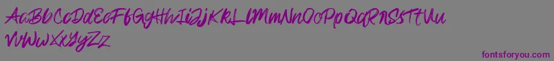 フォントRampage Kid – 紫色のフォント、灰色の背景