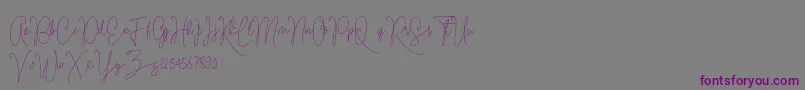 Ramsey Font – Purple Fonts on Gray Background