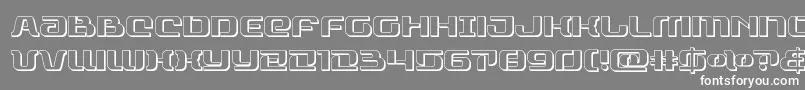 rangepaladin3d Font – White Fonts on Gray Background