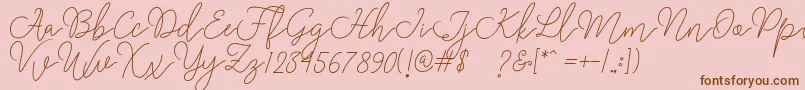 Rangga Script Font – Brown Fonts on Pink Background