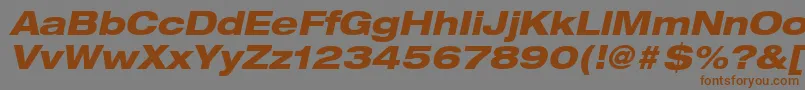 HelveticaLt83HeavyExtendedOblique Font – Brown Fonts on Gray Background