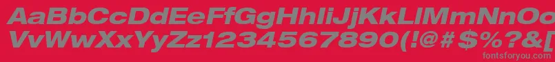 Fonte HelveticaLt83HeavyExtendedOblique – fontes cinzas em um fundo vermelho