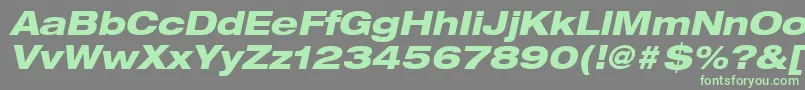 HelveticaLt83HeavyExtendedOblique Font – Green Fonts on Gray Background