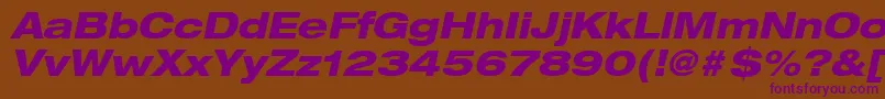 HelveticaLt83HeavyExtendedOblique Font – Purple Fonts on Brown Background