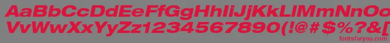 HelveticaLt83HeavyExtendedOblique Font – Red Fonts on Gray Background