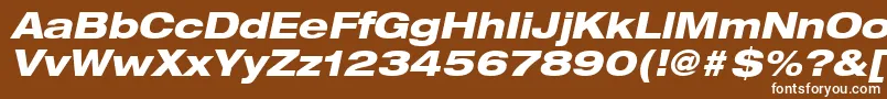 HelveticaLt83HeavyExtendedOblique Font – White Fonts on Brown Background