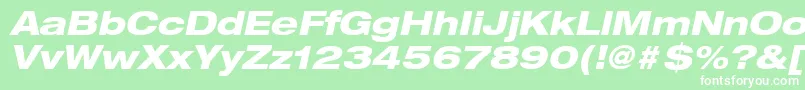 HelveticaLt83HeavyExtendedOblique Font – White Fonts on Green Background