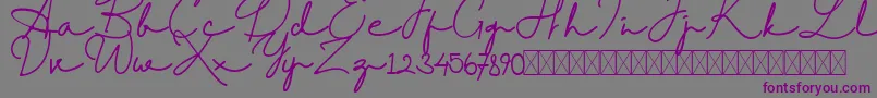 Шрифт RantcaFreeRegular – фиолетовые шрифты на сером фоне