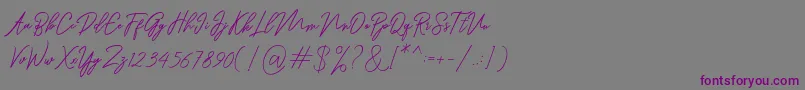 Ranuella-fontti – violetit fontit harmaalla taustalla