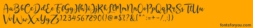 Rashida Script Font – Black Fonts on Orange Background
