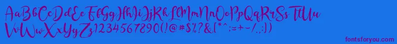 Rashida Script-fontti – violetit fontit sinisellä taustalla
