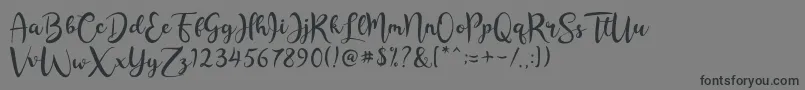 Rashida Script Font – Black Fonts on Gray Background