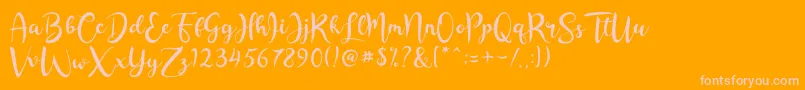 More about Rashida Script Font Rashida Script Font – Pink Fonts on Orange Background