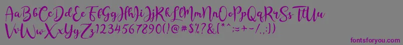 Rashida Script Font – Purple Fonts on Gray Background