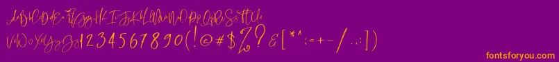RastyKing Regular Font – Orange Fonts on Purple Background