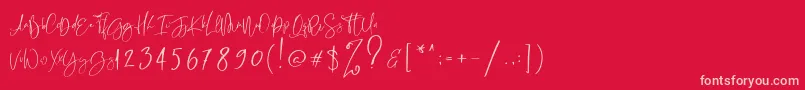RastyKing Regular Font – Pink Fonts on Red Background