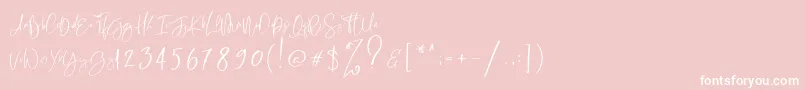 RastyKing Regular-Schriftart – Weiße Schriften auf rosa Hintergrund