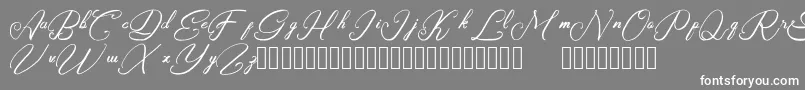 フォントRasyidin – 灰色の背景に白い文字