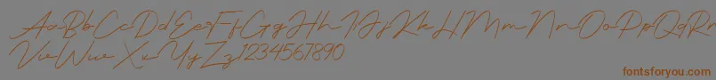 Weitere Informationen zur rationale-Schriftart rationale-Schriftart – Braune Schriften auf grauem Hintergrund
