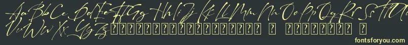 Raullina  Aguste Font – Yellow Fonts on Black Background