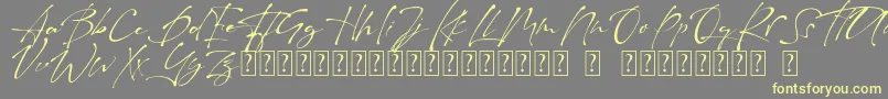 Raullina  Aguste Font – Yellow Fonts on Gray Background