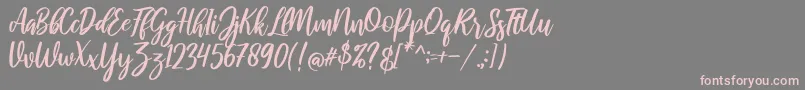 raustila Regular Font – Pink Fonts on Gray Background