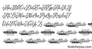 Raven Script DEMO font – beautiful Fonts