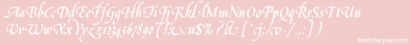 LeGriffeLetPlain.1.0 Font – White Fonts on Pink Background