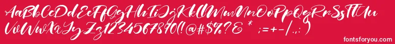 Real Miami Font – White Fonts on Red Background