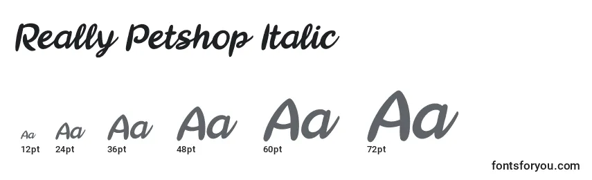Really Petshop Italic Font Sizes