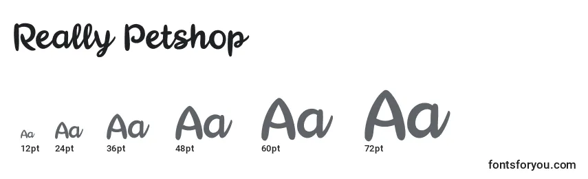 Really Petshop Font Sizes