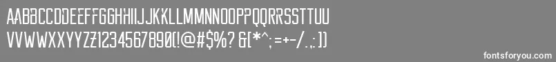 フォントReckoner – 灰色の背景に白い文字