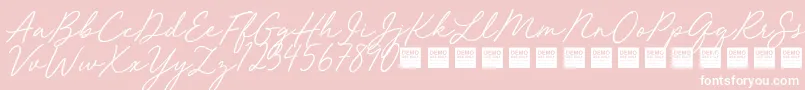 Red Velvet   Demo Font – White Fonts on Pink Background