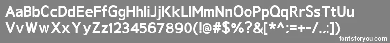 GeldersansExtrabold Font – White Fonts on Gray Background